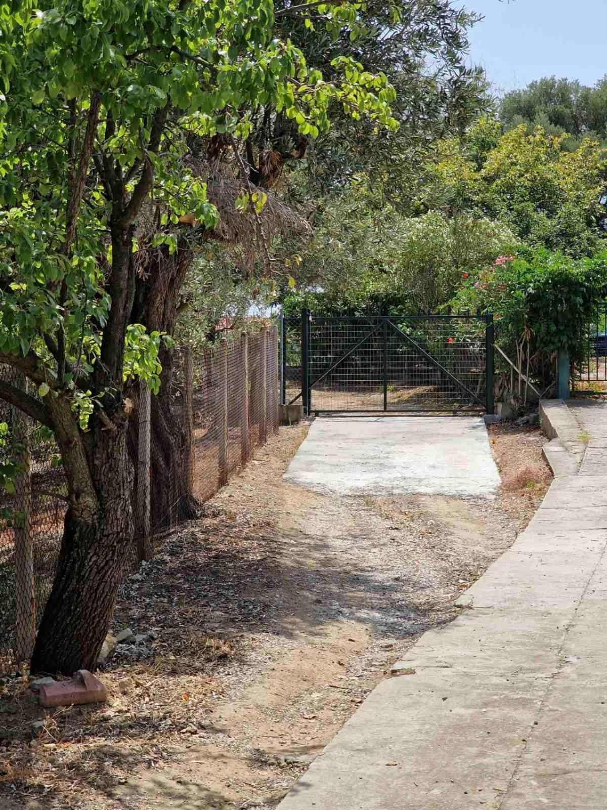 Villa Stella'S Garden PalaiónTsiflíkion Exterior foto